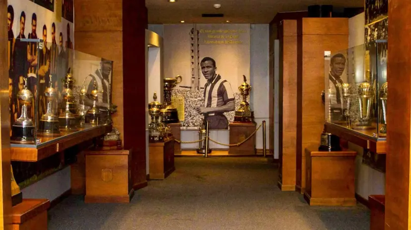 Gallery image 5