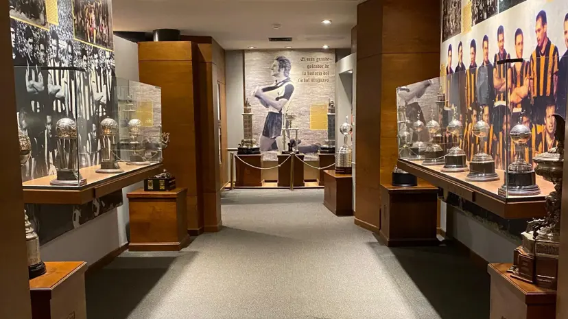 Gallery image 6